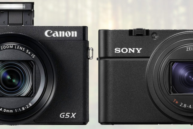 Canon G5 X Mark II vs. Sony RX100 VI