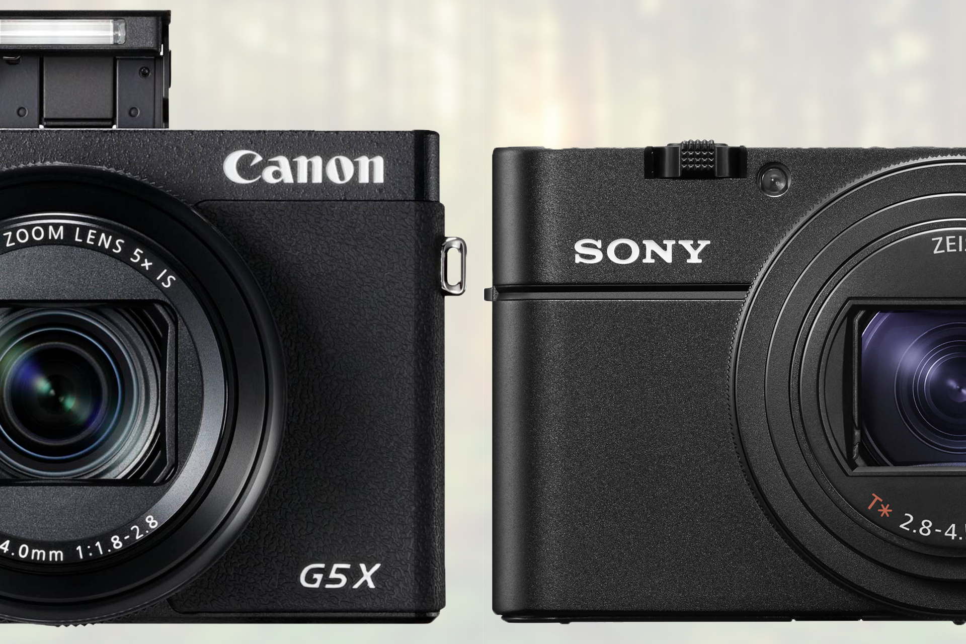 overloop Elasticiteit Alexander Graham Bell Canon PowerShot G5 X Mark II vs. Sony CyberShot RX100 VI