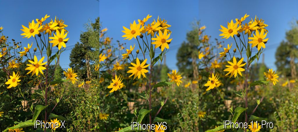 iPhone 11 Pro camera quality test vs iPhone X and iPhone XS